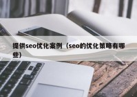 提供seo优化案例（seo的优化策略有哪些）